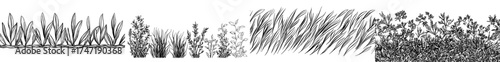 A seamless border of realistic grass lawn, meadow herbs, or field can be utilized, featuring 3D spring grass, weeds, and green plant leaves, as part of a modern farm or garden sprouts set