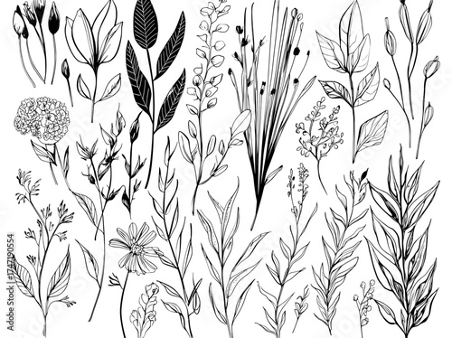 Modern isolated set of linear decorative forest branches with leaves and flowers, used for floral cartoon sketches on greeting cards and invitations, resembling doodles of plants