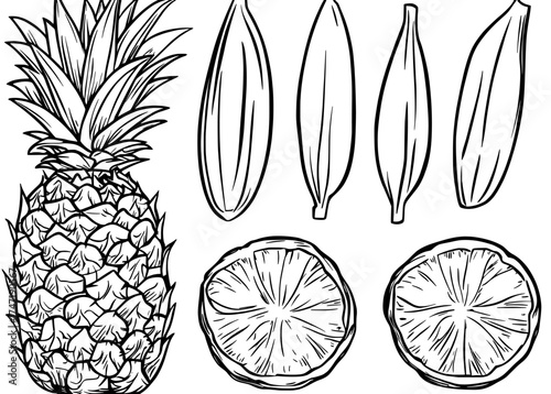 A collection of pineapple pieces, including colorful cartoon ring slices of ripe ananas, forms a modern isolated set that focuses on the sweetness and juiciness of tropical fruit as a healthy natural
