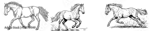 The silhouette of a galloping horse is dynamic, making it perfect for designs related to equestrian and nature themes
