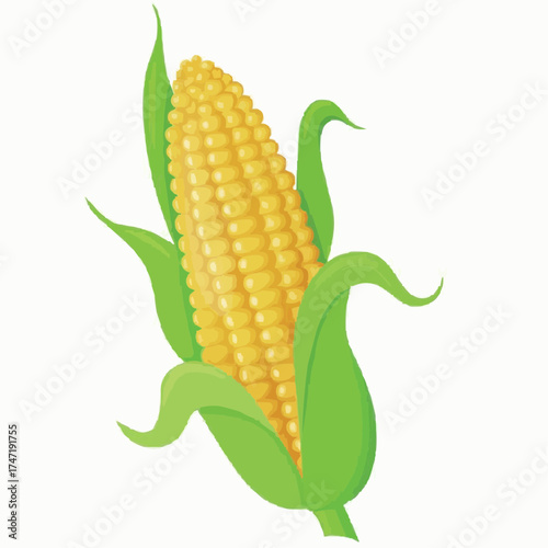 corn on the cob