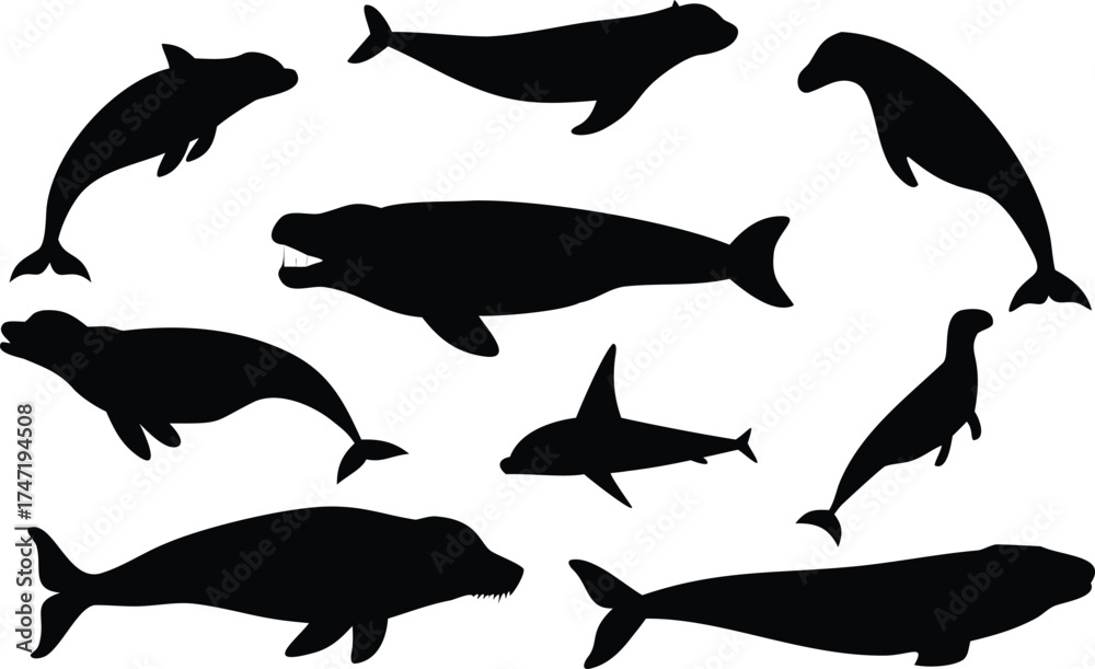 Fototapeta premium Print