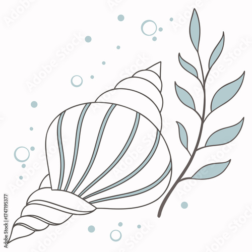Seashell and plant branch with pastel bubbles conch