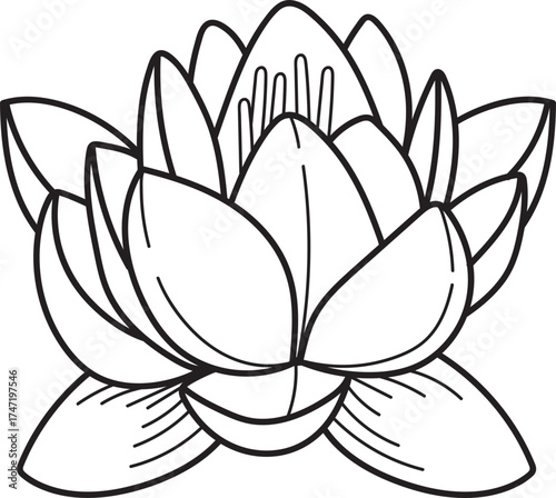 Elegant Lotus Flower Line Art Illustration. Stylized black and white vector drawing of a water lily blossom, symbolizing purity.