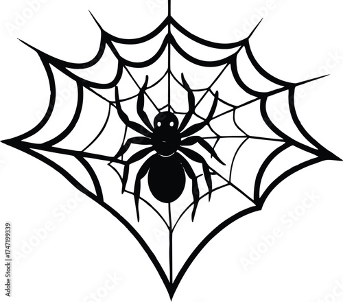 Spider Hanging From Large Web Silhouette