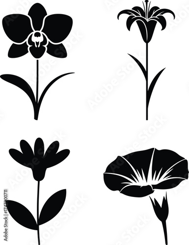 Elegant silhouettes of four distinct flowers orchids lilies simple petal blooms