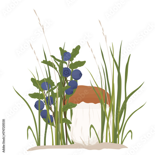cep, porcini, steinpilz, edible mushroom  vector stock illustration.  boletus edulis, vegnism, forest floor. Isolated on a white background.