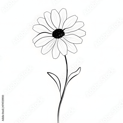 Minimal flower outline, a daisy or tulip, with few petals, black on white
