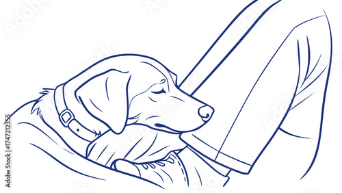 Resting Dog Illustration Under Full Moon - Blue Line Art - Cozy Home Environment - Calm Atmosphere