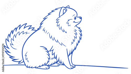 Cute Blue-Line Illustration of a Pomeranian Puppy Sitting in a Minimalist Style