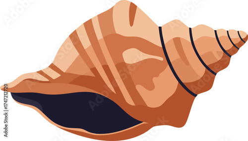 Seashell vector illustration with natural brown tones and black interior details for marine decor and design projects