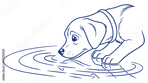 Playful Puppy Observing Water Ripples - Illustration in Nature - Cheerful Outdoor Scene