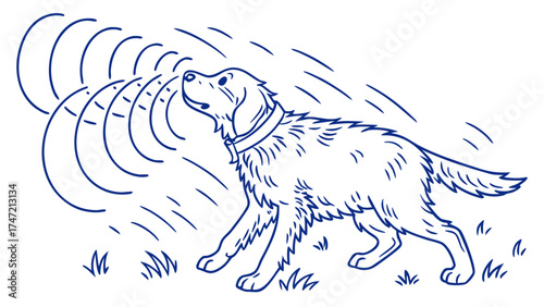 Vector Illustration in Nature Setting