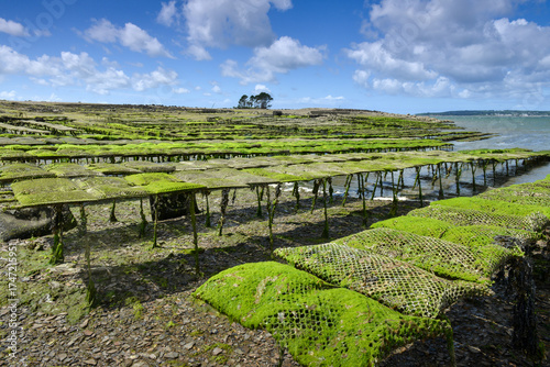 Vue panoramique sur parc de culture ostréicole de la pointe du château de la rade de Brest