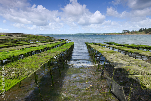 Vue panoramique sur parc de culture ostréicole de la pointe du château de la rade de Brest