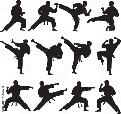 Silhouetted Karate Fighters in Various Poses Martial Arts Demonstration