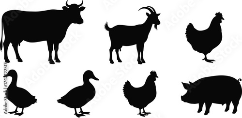 Farm animal silhouettes, livestock vector set, black rural icons, domestic animals illustration, agriculture design elements, flat vector illustration