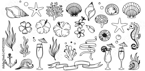 Summer Beach Vacation Line Art Seashells Tropical Flowers Cocktails Seahorse Ocean Waves Relaxation Travel and Island