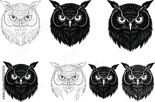 Owl head vector illustration, fierce bird design, stylized wildlife art, black and white owl face, detailed plumage, vigilant expression, tattoo style