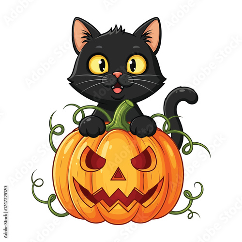 Cute black cat with a spooky jack o lantern pumpkin for halloween