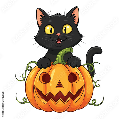 Cute black cat with a spooky jack o lantern pumpkin for halloween