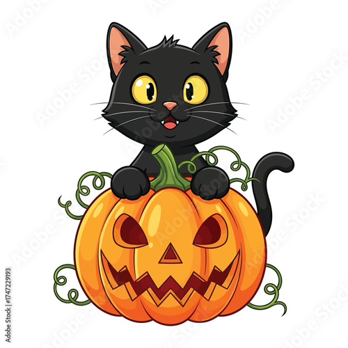 Cute black cat with a spooky jack o lantern pumpkin for halloween