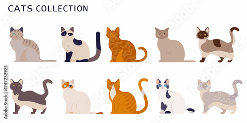 Collection of ten diverse cartoon cats in various poses and colors on a white background