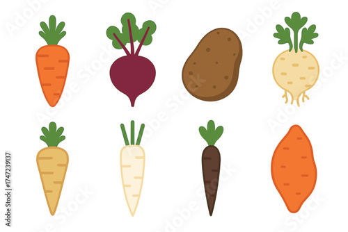 Root vegetables flat vector illustration set. Collection of various fresh and organic farm produce.