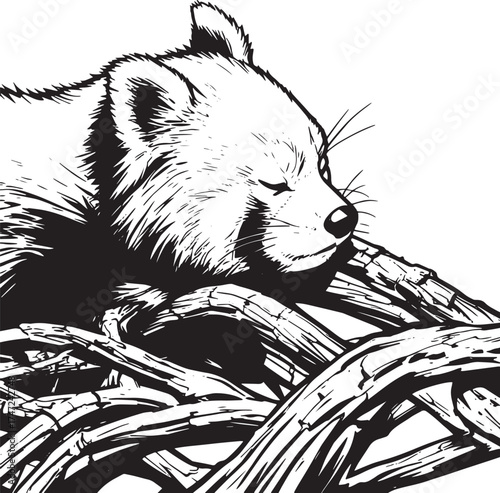 closeup-red-panda-dried-branches-zoo-with-blurry-background vector line art