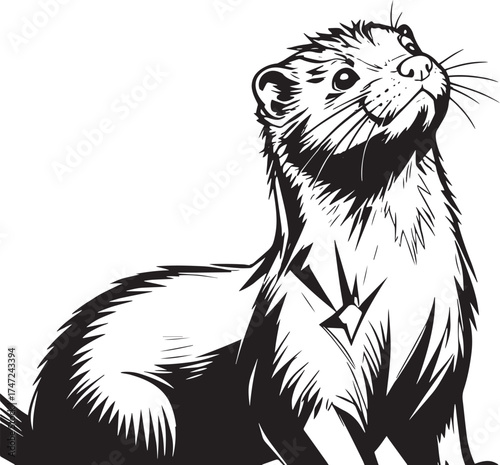 closeup-shot-american-ferret-blurred-background vector line art