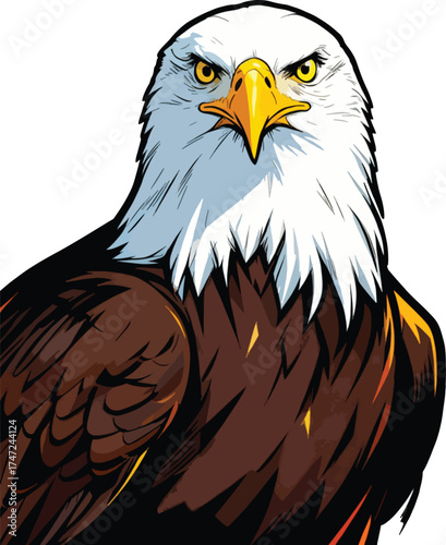 bald-eagle-looking-into-camera-with-blurred-background illustration