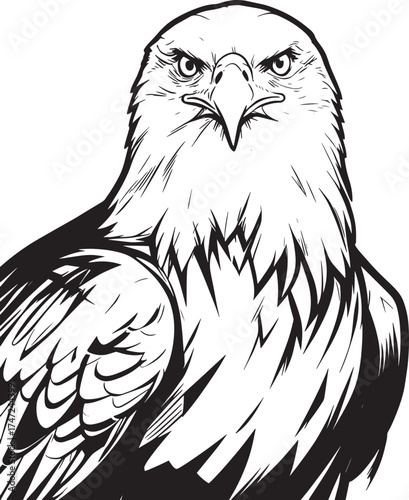 bald-eagle-looking-into-camera-with-blurred-background vector line art