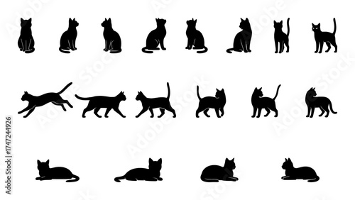 Black Cat Silhouettes – Calm Poses Collection (PNG, Transparent Background)