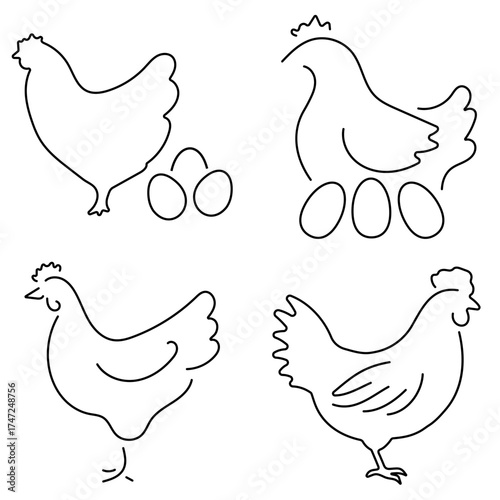 Group of black chicken icons on a white background. Vector illustration.