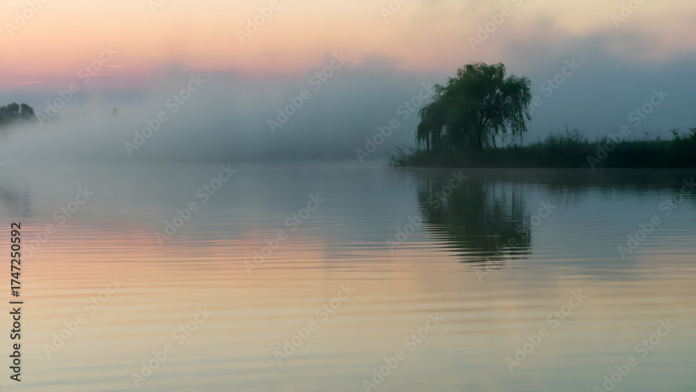 Fototapeta premium Tranquil Lake at Dawn Mirroring the Sky with Pastel Hues and Silhouetted Willow Tree - nature photography