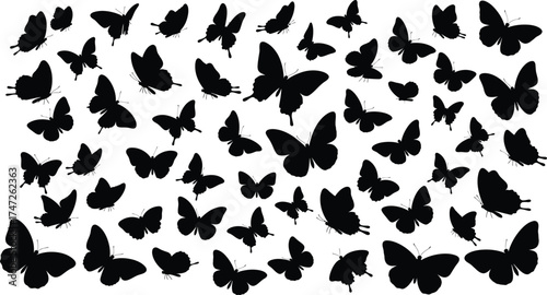 Flying Butterfly Silhouette Vector Illustration