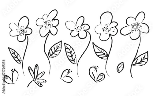 Minimal Hand Drawn Flowers, Line Art Botanical Sketches, Simple Floral Outline Drawing