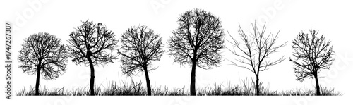 Set of bare trees . hand drawn. Not AI, Vector illustration.
