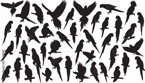 Parrot Silhouette Isolated Vector Illustration