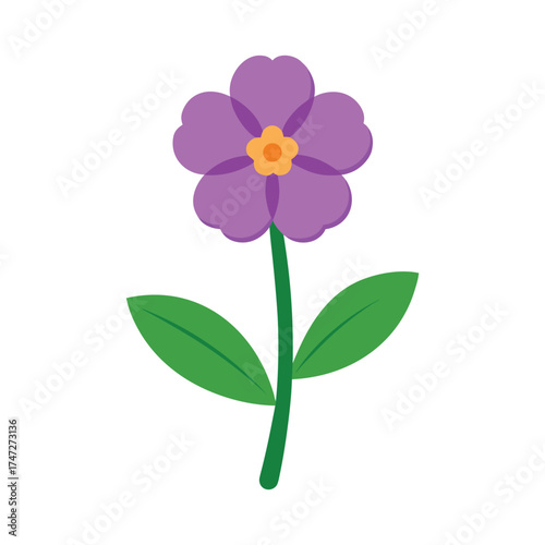 primrose flower flat vector illustration