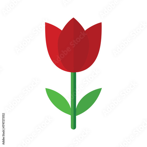 red tulip flat vector illustration