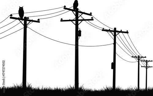 electricity, power, utility, pole, energy, grid, cable, wire, transformer, insulator, infrastructure, silhouette, distribution, bird, nature, engineering, utility pole, 
