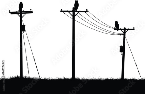 Utility pole silhouettes with owls, power line structures, electricity distribution, rural energy grid, electrical infrastructure, nature and industry contrast, wildlife on poles
