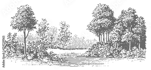 Black and White Engraving of a Forest Landscape. Vintage woodcut engraving linocut vector illustration.