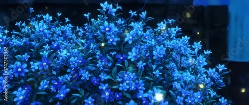 Blue floral display