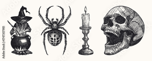 gothic halloween set isolated with witch stirring cauldron realistic spider melting candle in vintage holder human skull hand drawn sketch line art shading detailed vector greeting card design