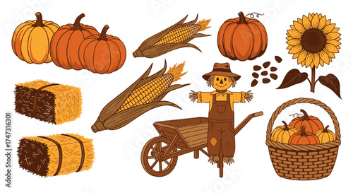 Vector art of autumn harvest elements including pumpkins, corn, scarecrow, and hay bales