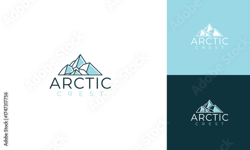 Arctic Crest Logo Design: Minimalist Mountain Icon with Variations