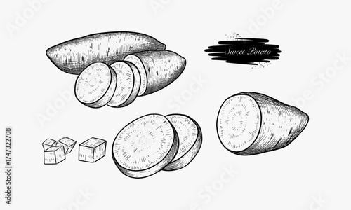 Sweet Potato Illustration Showing Whole Slices and Cubes