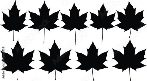 Black maple leaf silhouettes vector, autumn foliage design, Canadian leaf pattern, nature illustration, decorative leaves artwork, isolated on white background, fall season graphics